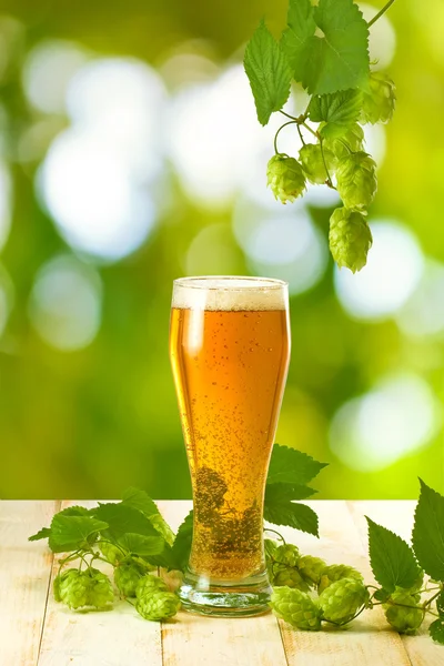 Tasses à bière et hop sur table en bois — Photo