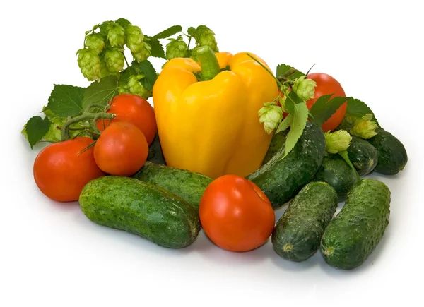 Verduras sobre fondo blanco — Foto de Stock