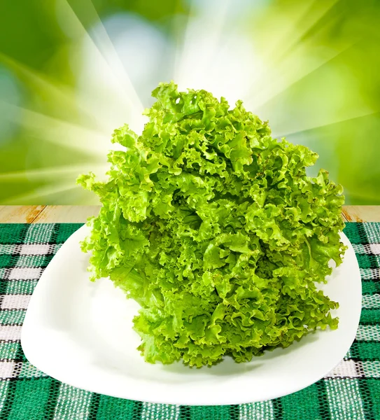 Image of fresh greens on a plate — Stock Photo, Image