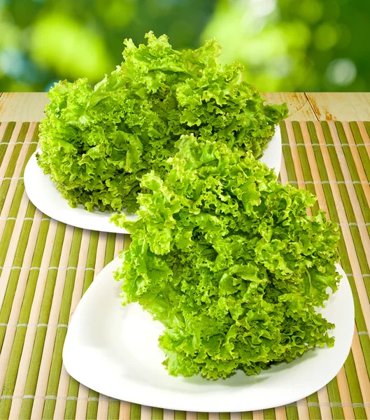 Fresh greens on a plate — Stock Photo, Image