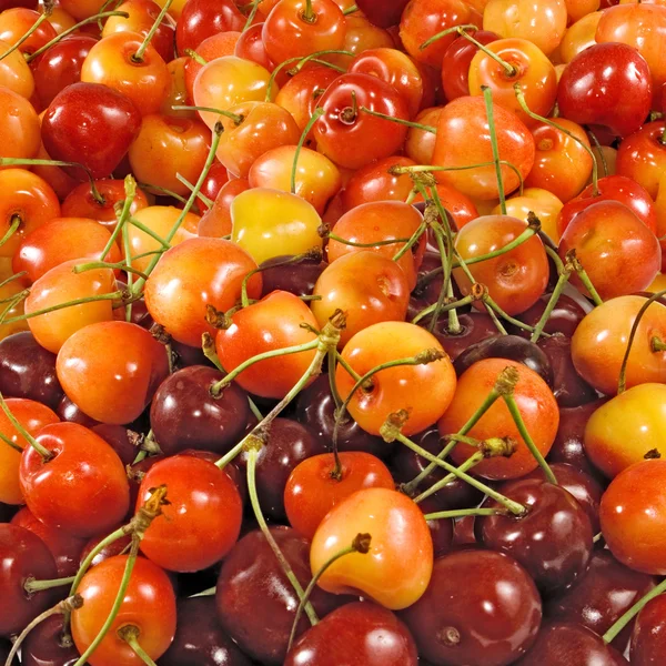 Delicious cherry — Stock Photo, Image