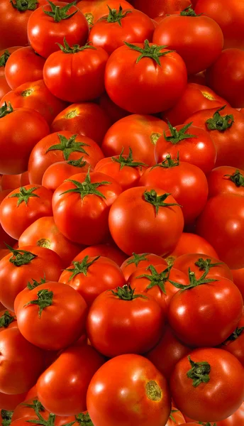 Muchos tomates maduros primer plano — Foto de Stock