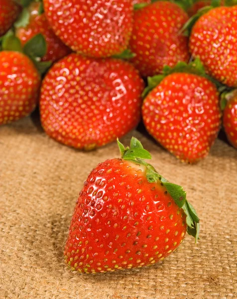 Image of a ripe strawberry on a white background closeup — Stock Photo, Image