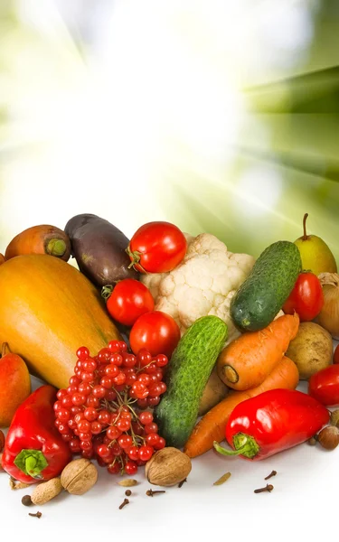 Image of different spices — Stock Photo, Image