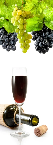 Image of the bottle, glass of wine and a plate with grapes close up — Stock Photo, Image