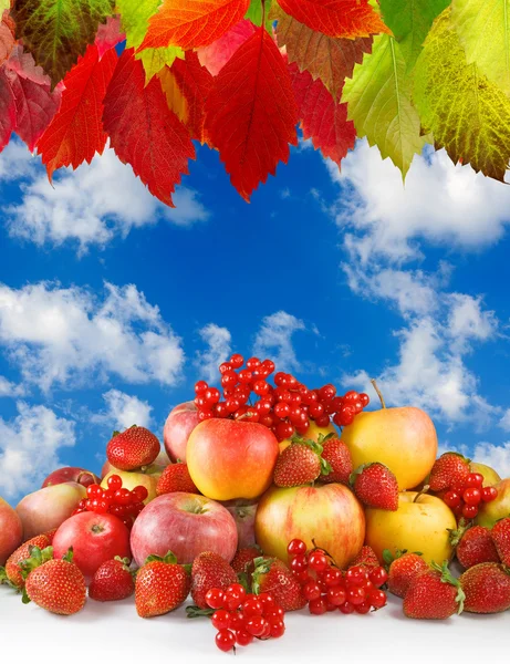 Image of different fruits on sky background — Stock Photo, Image