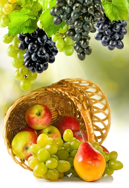 Зображення різних фруктів у кошику — стокове фото