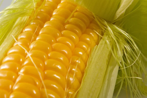 Imagen del primer plano del maíz maduro —  Fotos de Stock