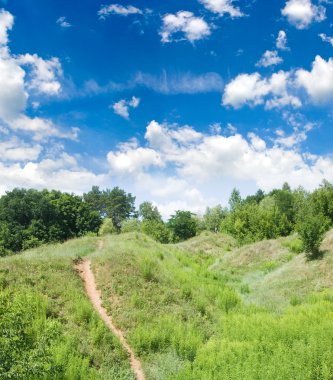  Yaz aylarında bir güzel orman manzara