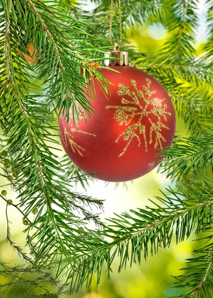 Palle di Natale sull'albero di Natale — Foto Stock