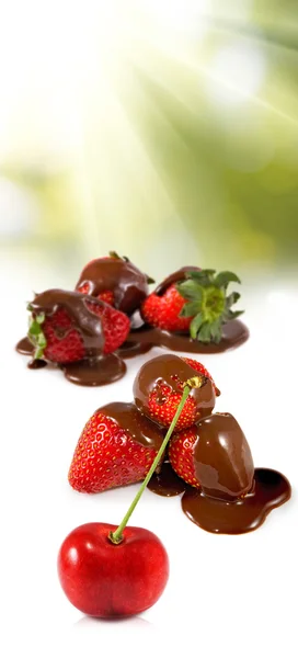 Изображение спелых ягод для шоколада — стоковое фото