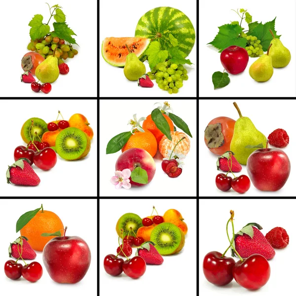 Muchas frutas maduras diferentes — Foto de Stock