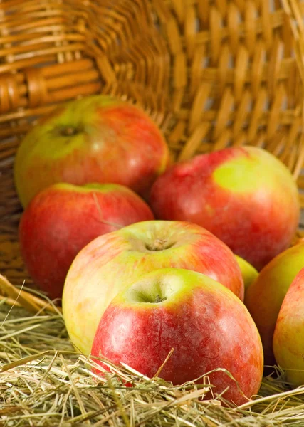 Imagen de manzanas maduras en primer plano de cesta invertida — Foto de Stock