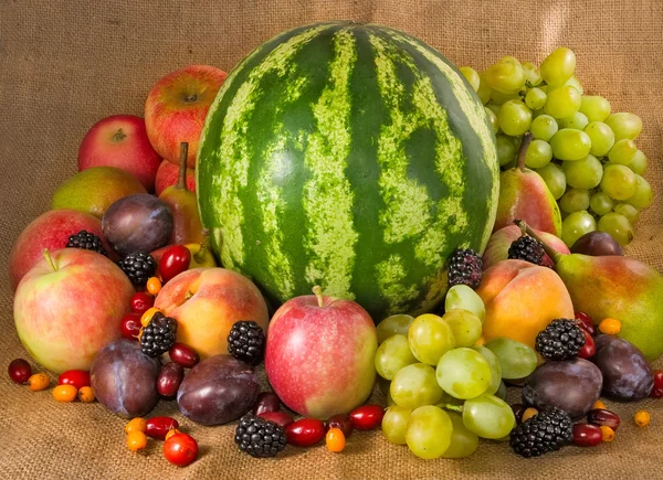 Muitas frutas e bagas — Fotografia de Stock
