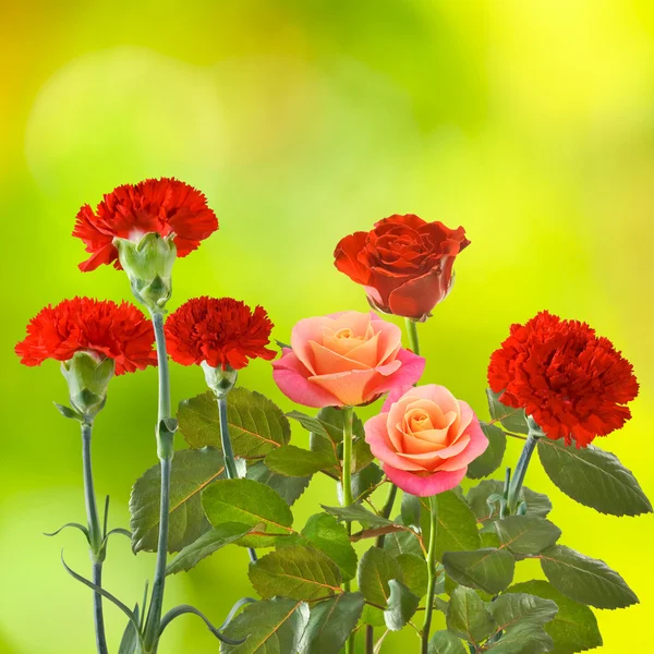 Muitas flores em um fundo verde — Fotografia de Stock