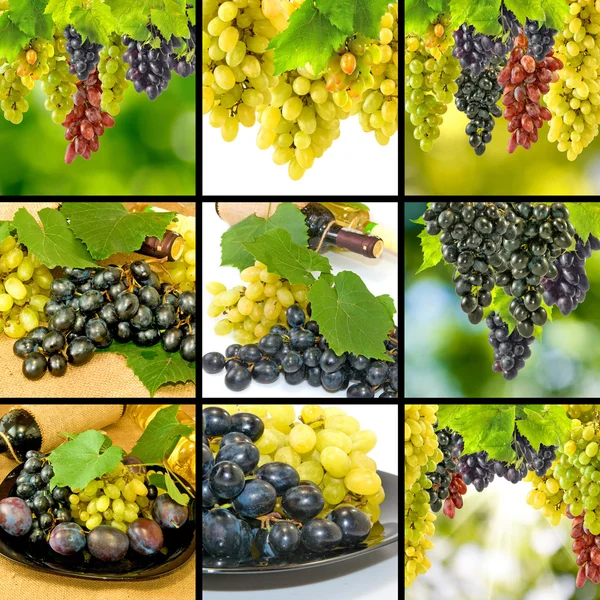 Image of grapes and bottles with wine closeup — Stock Photo, Image