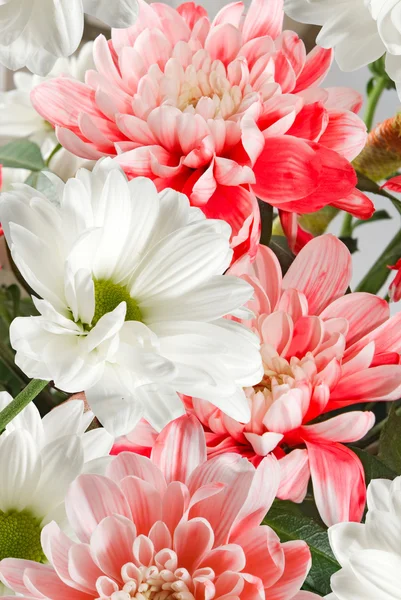 Obraz z wielu pięknych kwiatów szczelnie-do góry — Zdjęcie stockowe