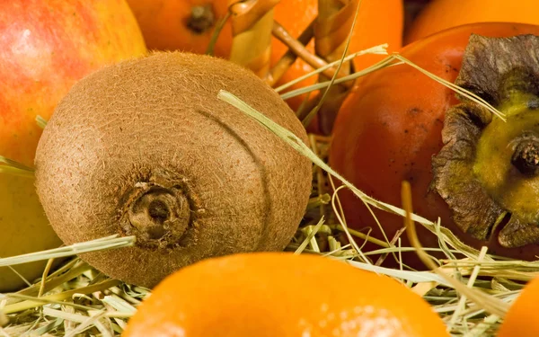 Image of various ripe fruits — Stock Photo, Image