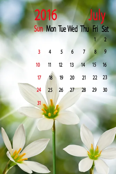 緑背景に白い花のイメージ。2016 年 7 月のカレンダー. — ストック写真