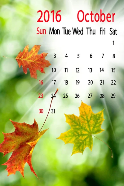 Höstlöv närbild, kalender för oktober 2016 — Stockfoto