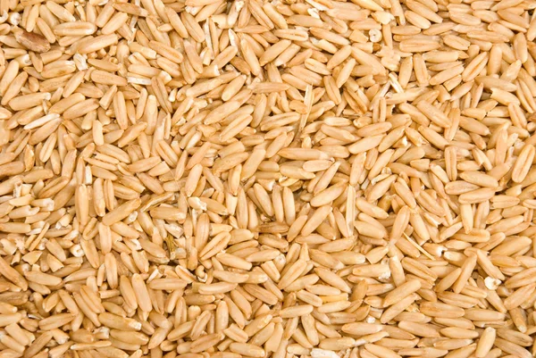 乾燥大麦のクローズ アップのイメージ — ストック写真