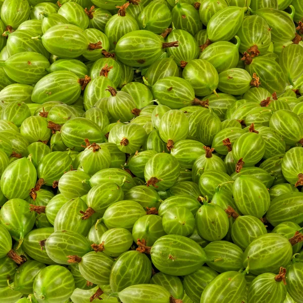 Ripe gooseberries closeup — Stock Photo, Image