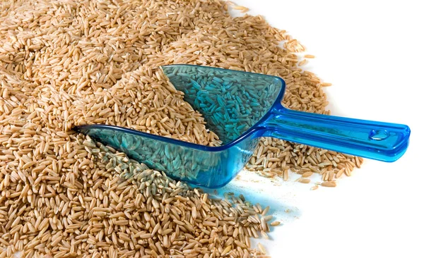 Isolated image of dry barley closeup — Stock Photo, Image