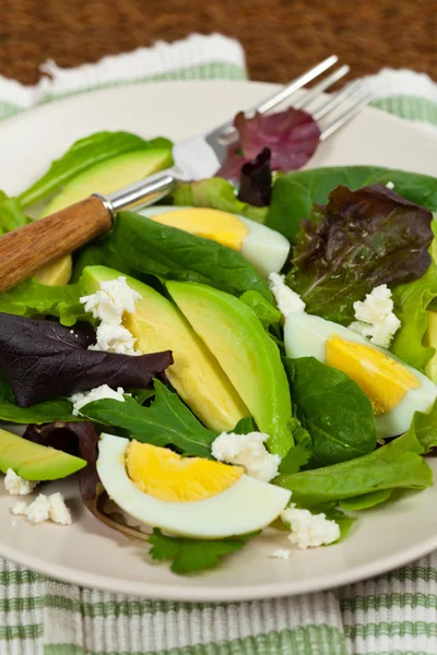 Salada Verde Fresca com Abacate — Fotografia de Stock