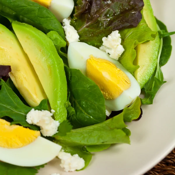 Frisse groene salade met Avocado — Stockfoto