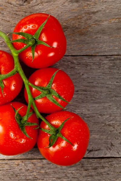 Tomates rojos madurados en vid — Foto de Stock