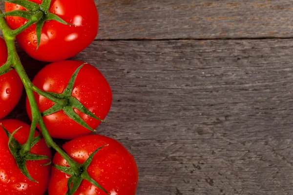 Tomates vermelhos amadurecidos em videira — Fotografia de Stock