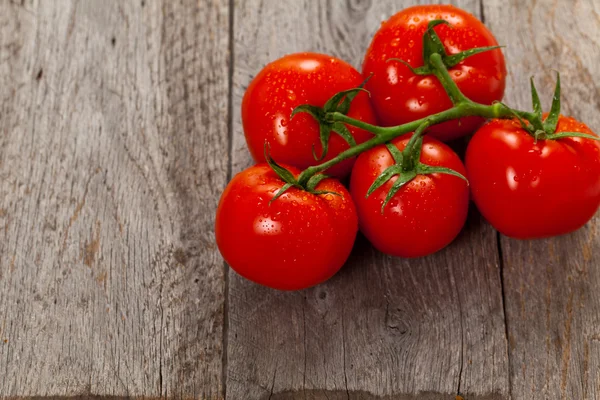 Tomates vermelhos amadurecidos em videira — Fotografia de Stock