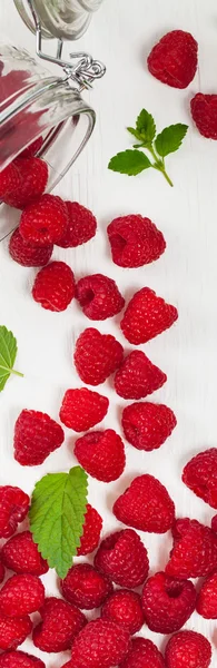 Ripe and fresh Raspberry — Stock Photo, Image