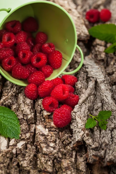 Ripe and fresh Raspberry — Stock Photo, Image