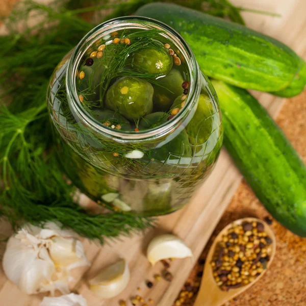 Pepinos em conserva Dill — Fotografia de Stock