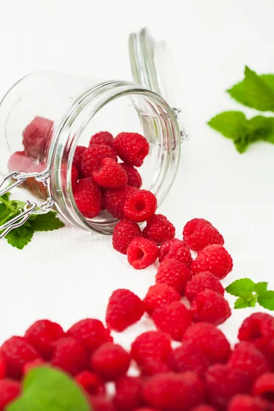 Ripe raspberry with green leaf — Stock Photo, Image