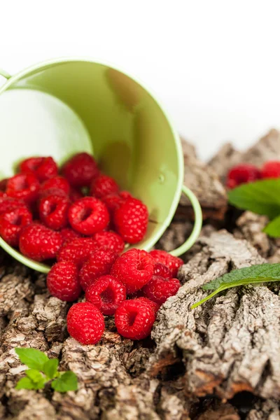 Raspberry on bark — Stock Photo, Image