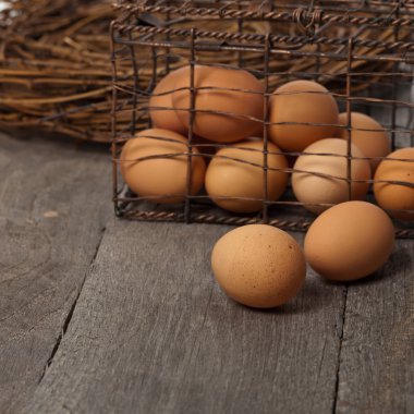 kahverengi tavuk yumurtası