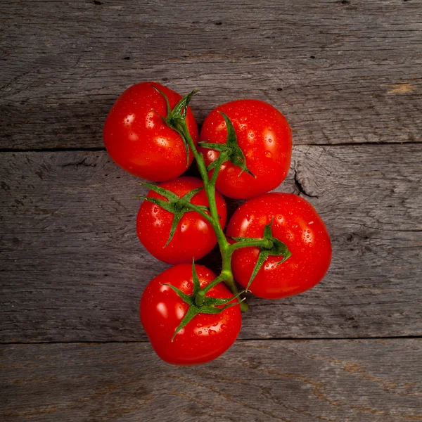 つるの赤いトマト — ストック写真