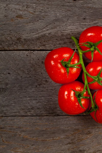 Tomates rojos en la vid — Foto de Stock