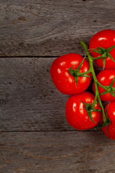 Tomates vermelhos na videira — Fotografia de Stock