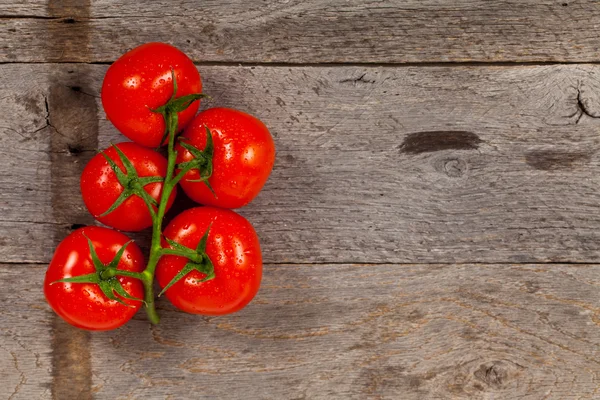 Tomates rojos en la vid — Foto de Stock