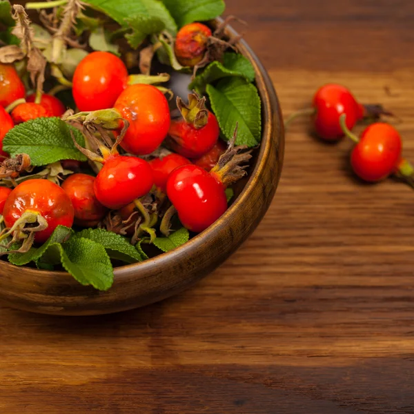 Fianchi di rosa canina — Foto Stock