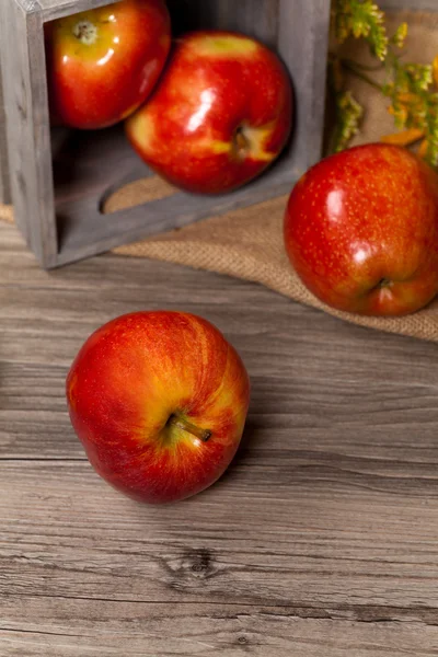 Organic apples — Stock Photo, Image