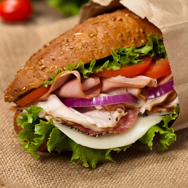 Sub-Sandwich — Stockfoto