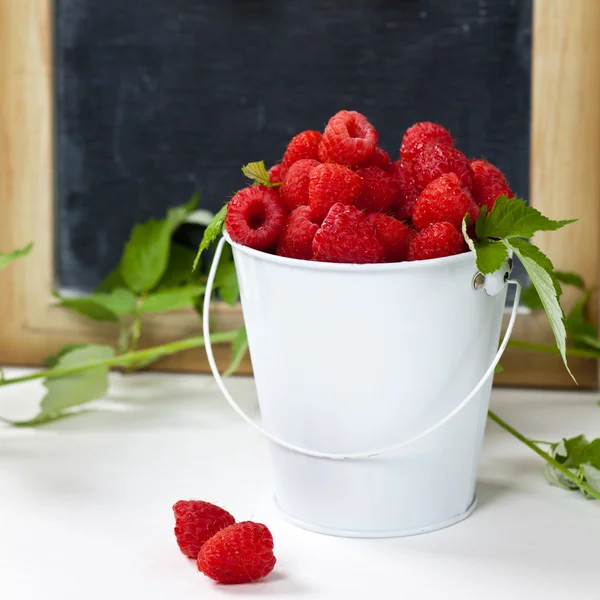 Himbeeren — Stockfoto