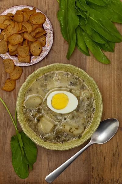 Sopa Sorrel — Fotografia de Stock