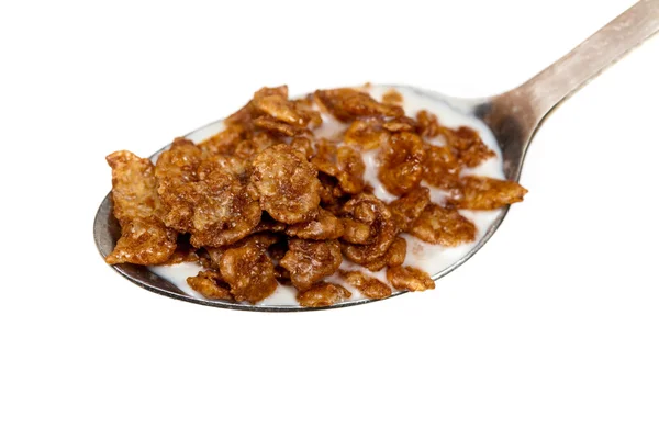 A spoon of chocolate crispy rice cereal — Stock Photo, Image
