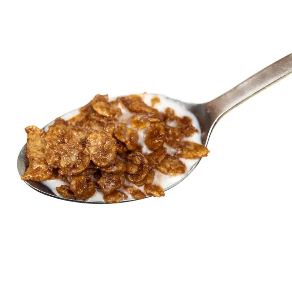 A spoon of chocolate crispy rice cereal — Stock Photo, Image