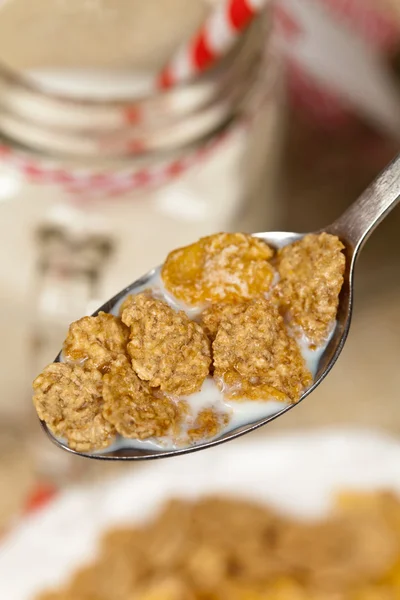 Cereales — Foto de Stock